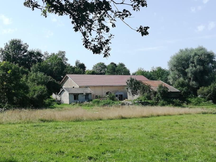 Studio Aux Granges Du Vilaret Appartement Clairvaux-les-Lacs Buitenkant foto